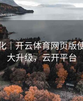 系统优化｜开云体育网页版使用体验大升级，云开平台