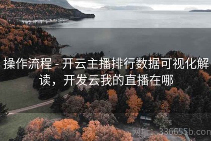 操作流程 - 开云主播排行数据可视化解读，开发云我的直播在哪