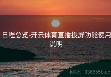 日程总览-开云体育直播投屏功能使用说明