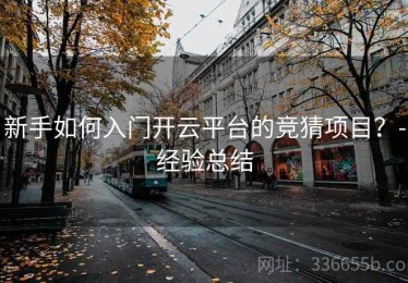 新手如何入门开云平台的竞猜项目？-经验总结