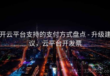开云平台支持的支付方式盘点 - 升级建议，云平台开发票