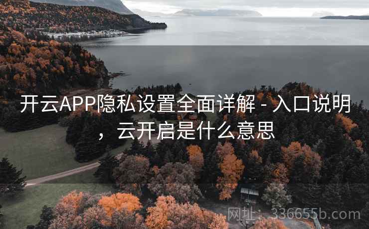 开云APP隐私设置全面详解 - 入口说明，云开启是什么意思