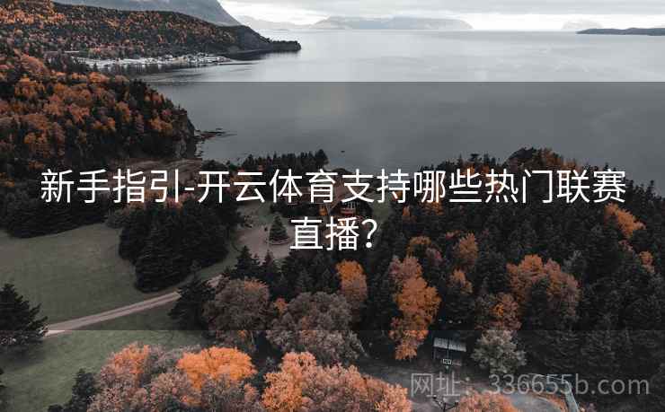 新手指引-开云体育支持哪些热门联赛直播？