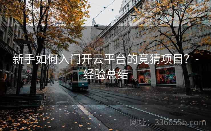 新手如何入门开云平台的竞猜项目？-经验总结