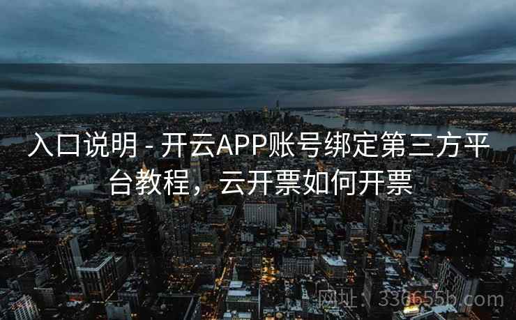 入口说明 - 开云APP账号绑定第三方平台教程，云开票如何开票