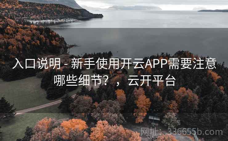 入口说明 - 新手使用开云APP需要注意哪些细节？，云开平台
