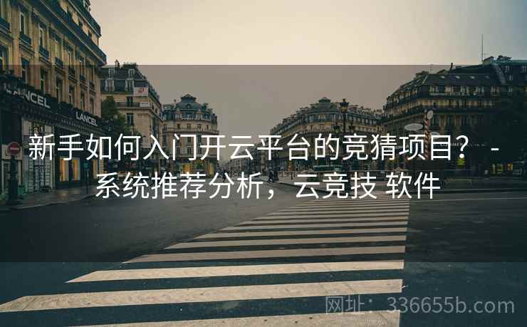 新手如何入门开云平台的竞猜项目？ - 系统推荐分析，云竞技 软件