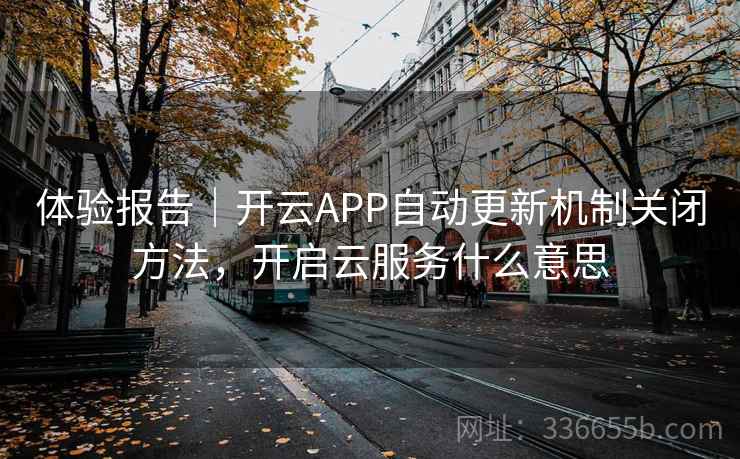 体验报告｜开云APP自动更新机制关闭方法，开启云服务什么意思
