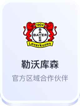 勒沃库森官方区域合作伙伴开云体育